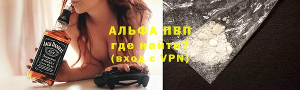 стаф Нефтекумск