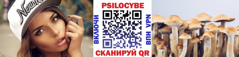 Псилоцибиновые грибы мицелий  Купить  Серпухов 